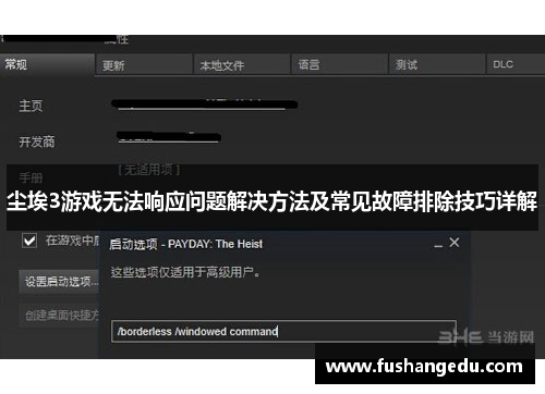 尘埃3游戏无法响应问题解决方法及常见故障排除技巧详解